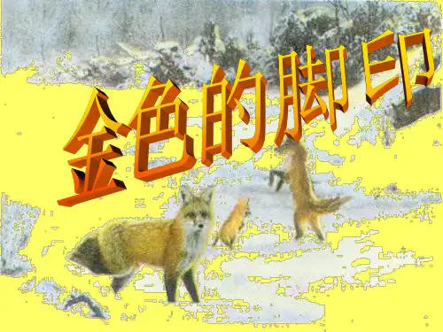 小学六年级上册语文第二十四课金色的脚印PPT课件2
