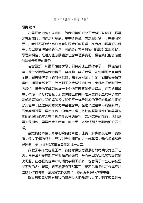 自我评价报告（精选18篇）