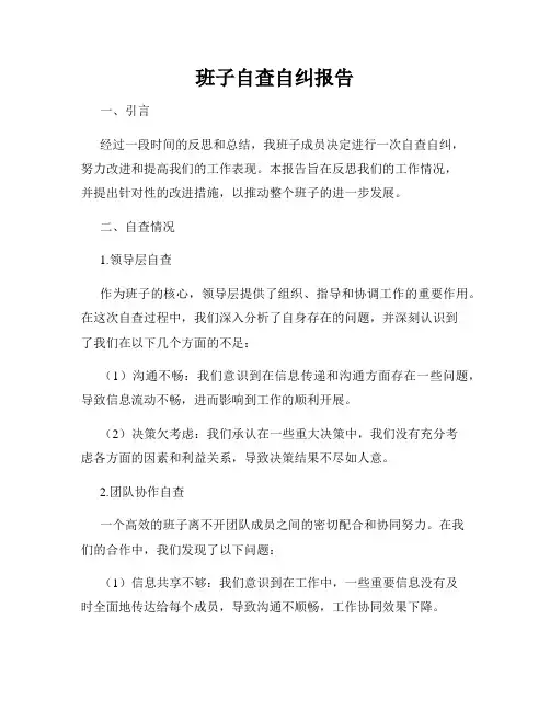 班子自查自纠报告