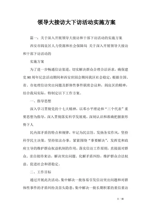 领导大接访大下访活动实施方案