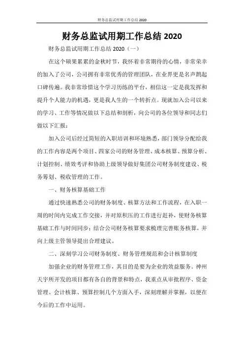 财务总监试用期工作总结2020