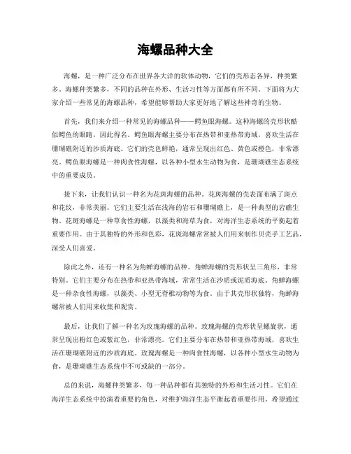 海螺品种大全