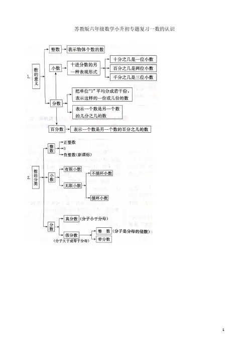 苏教版六年级数学小升初专题复习一数的认识 