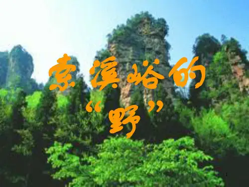 索溪峪的野PPT课件