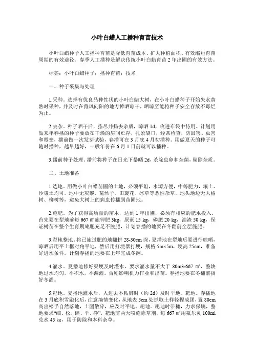 小叶白蜡人工播种育苗技术