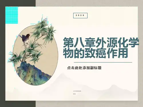 外源化学物的致癌作用