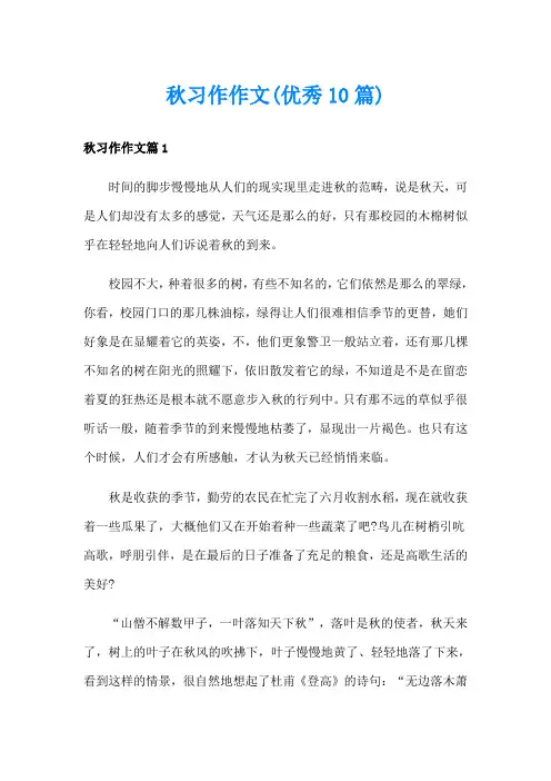 秋习作作文(优秀10篇)
