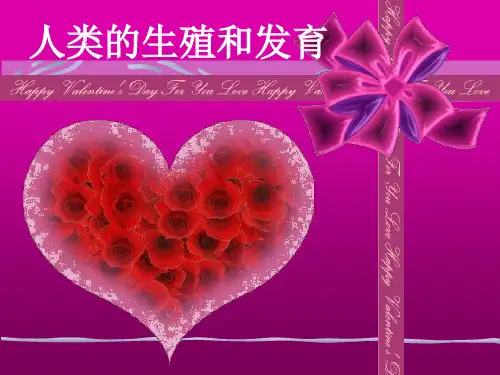 八年级生物上册用第一节《婴儿的诞生》济南版PPT课件