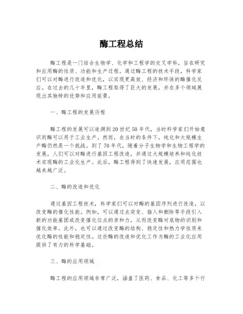 酶工程总结