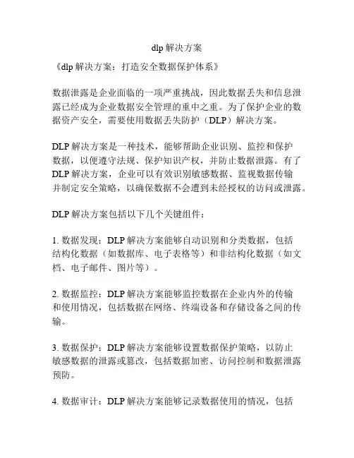 dlp解决方案