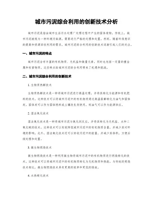 城市污泥综合利用的创新技术分析