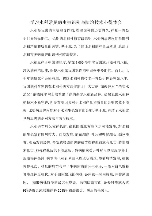 学习水稻常见病虫害识别与防治技术心得体会