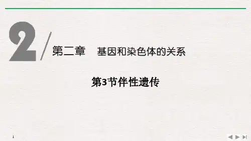 《伴性遗传》基因和染色体的关系-人教版高中生物必修二PPT课件
