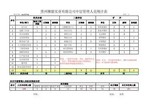 贵州湘能中层以上管理人员基本情况表(2013331)