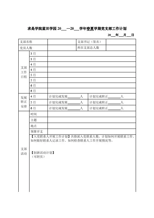 党支部工作计划表