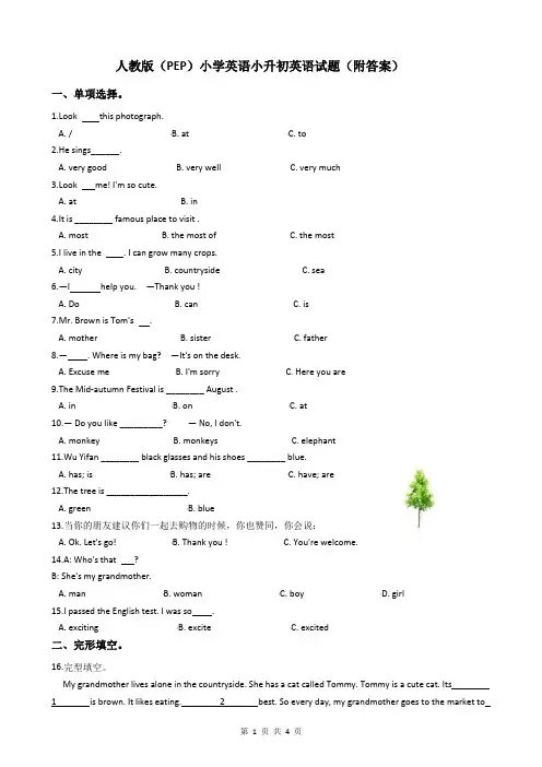 人教版(PEP)小学英语小升初英语试题(附答案)