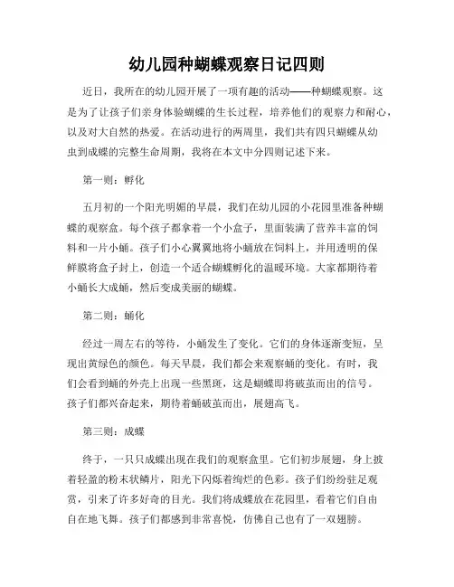 幼儿园种蝴蝶观察日记四则