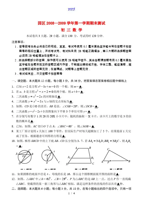 江苏省园区2008—2009学年九年级数学第一学期期末测试华东师大版