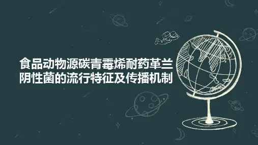 食品动物源碳青霉烯耐药革兰阴性菌的流行特征及传播机制
