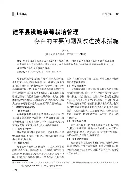建平县设施草莓栽培管理存在的主要问题及改进技术措施