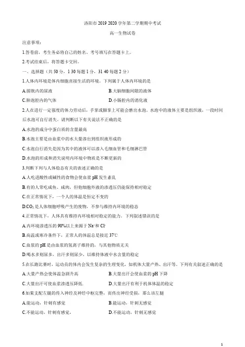河南省洛阳市2019-2020学年高一下学期期中考试生物试题含答案