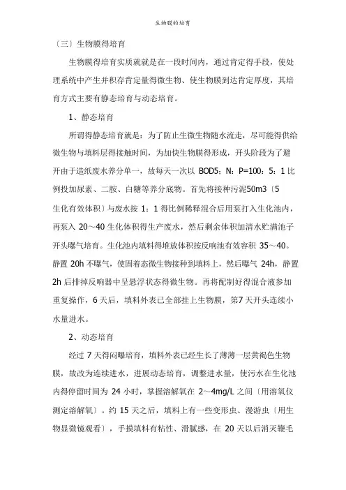生物膜的培养
