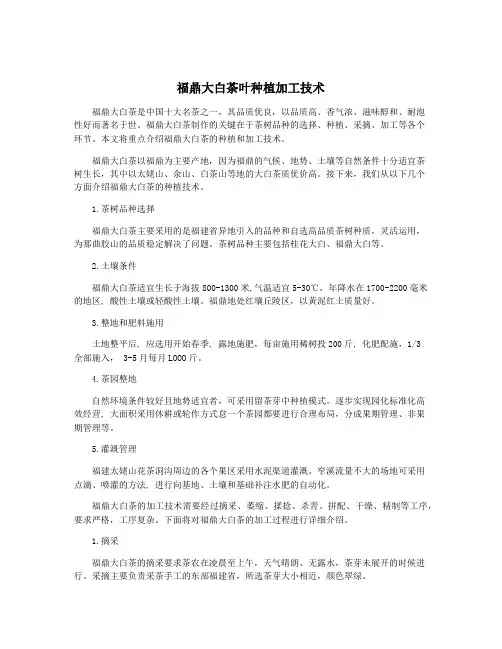福鼎大白茶叶种植加工技术