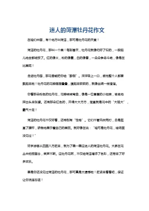 迷人的菏泽牡丹花作文