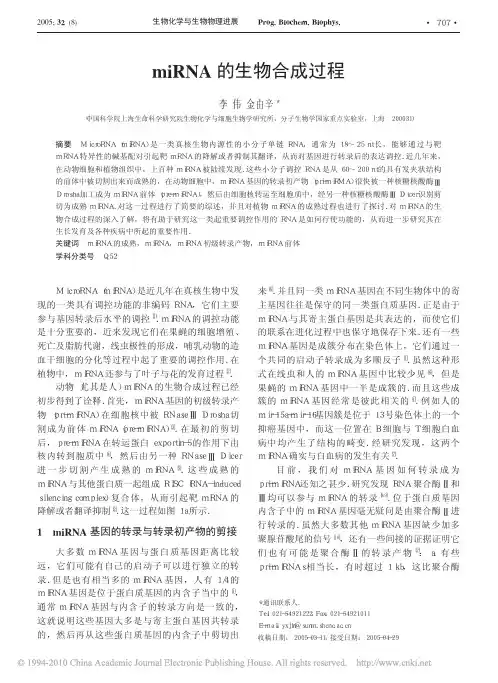 miRNA的生物合成过程