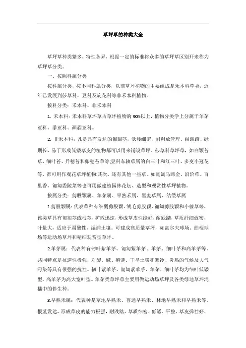 草坪草的种类大全