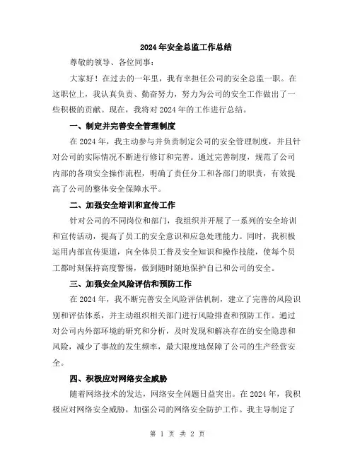 2024年安全总监工作总结