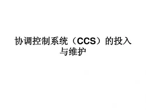 协调控制系统(CCS)的测试与维护