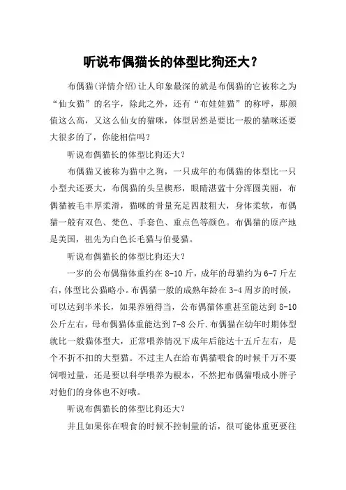 听说布偶猫长的体型比狗还大？