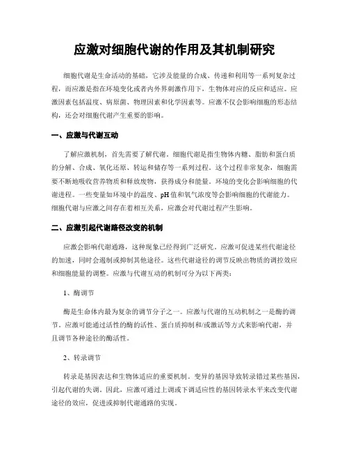 应激对细胞代谢的作用及其机制研究