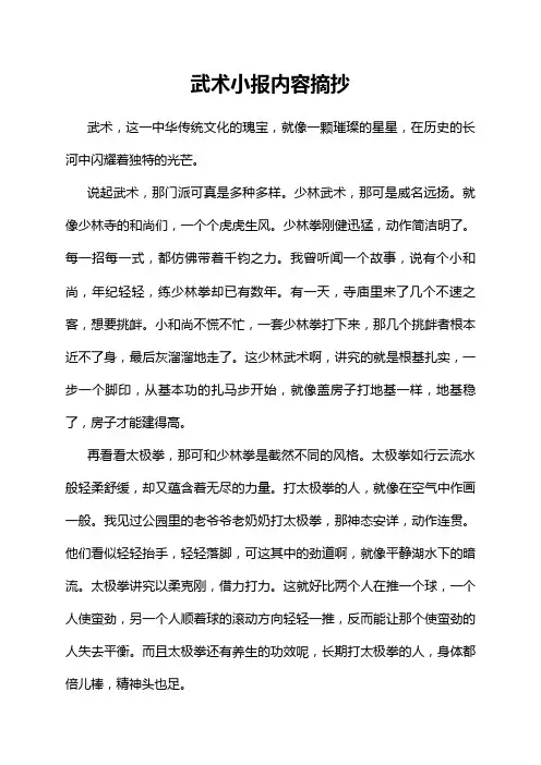 武术小报内容摘抄