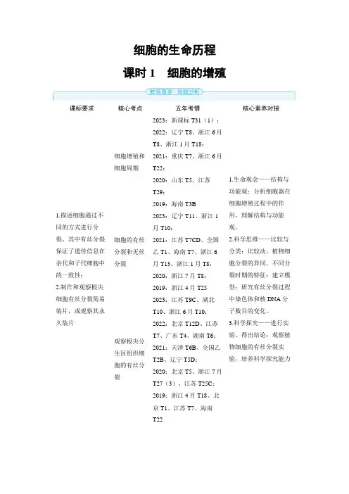 2025年高中生物高考精品备课教案：细胞的增殖