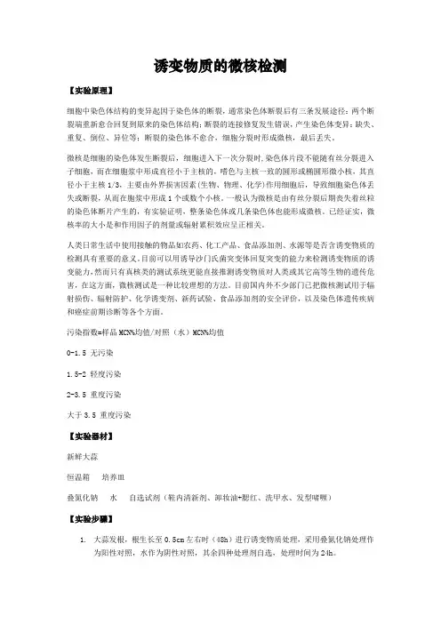 诱变物质的微核检测