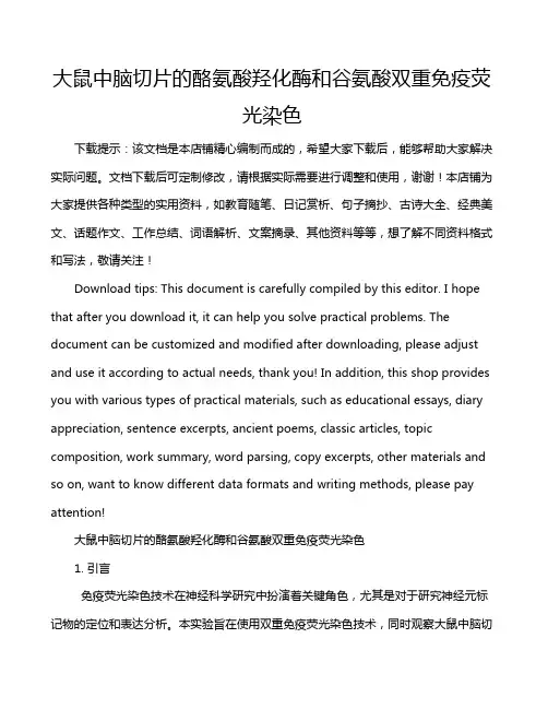 大鼠中脑切片的酪氨酸羟化酶和谷氨酸双重免疫荧光染色