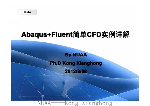 AbaqusFluent简单CFD实例详解.pdf