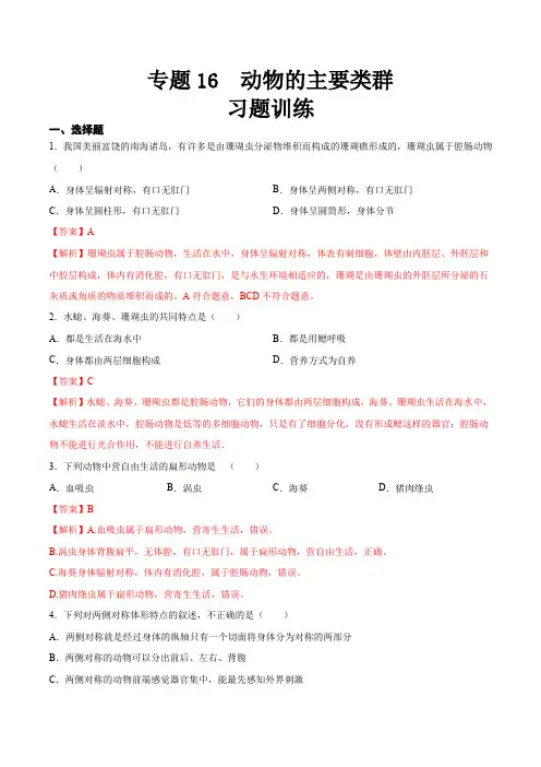 专题16 动物的主要类群(习题精练)2024年中考生物一轮复习精讲精练(全国通用)(解析版)