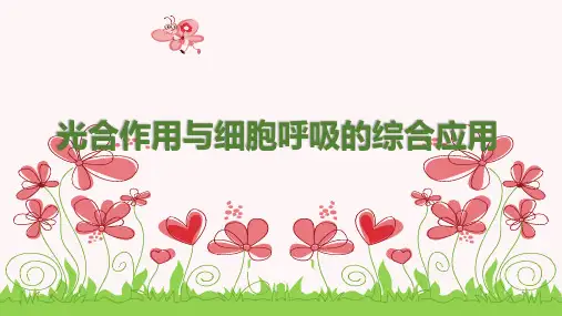 高考生物一轮复习3:光合作用与细胞呼吸的综合应用 优质课件