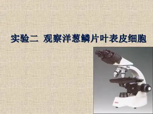 试验一光学显微镜的构造使用和临时装片制作