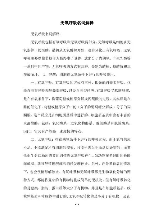 无氧呼吸名词解释