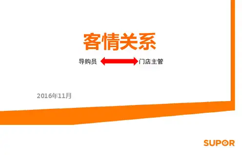 客情关系ppt课件