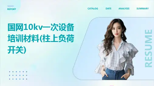 国网10kV一次设备培训材料(柱上负荷开关)