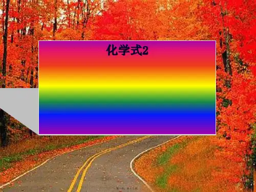 九年级化学上册《化学式》课件 