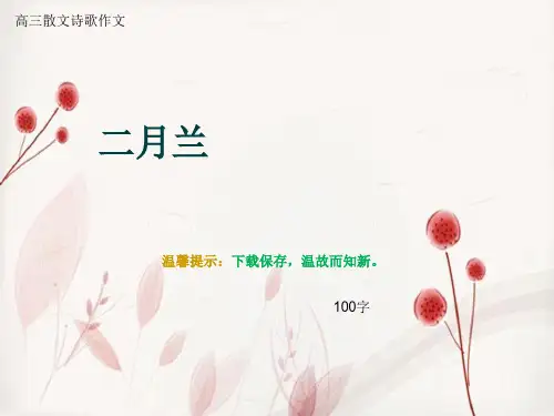 高三散文诗歌作文《二月兰》100字