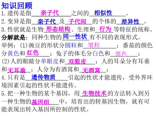人教版八年级生物下册7.2.2基因在亲子代间的传递(共18张PPT)