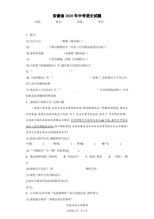 2020年安徽省中考语文试卷及解析