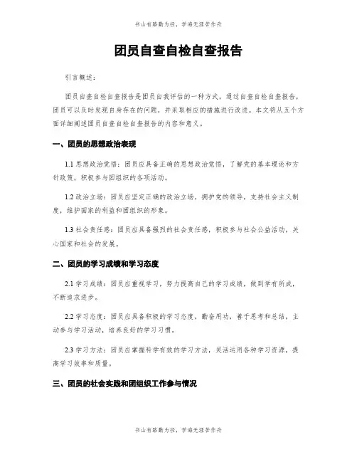 团员自查自检自查报告